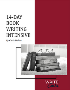 14 Day Book Writing Intensive